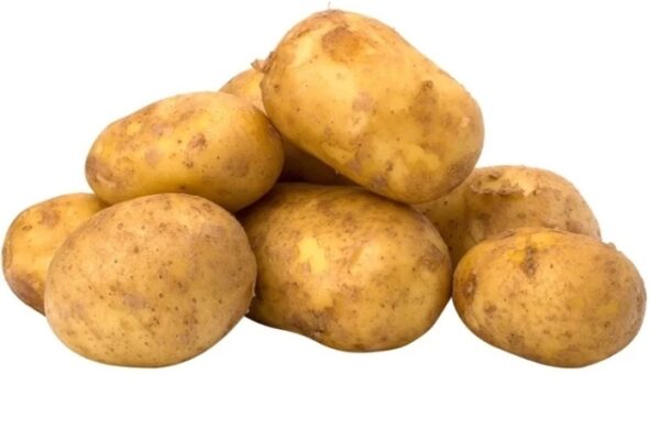 Potato